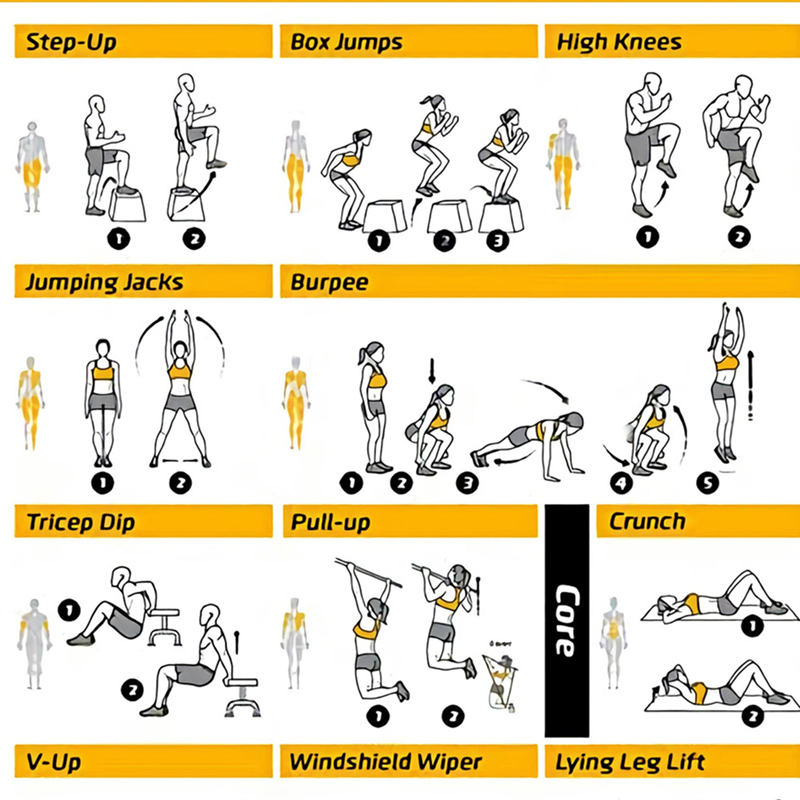 Poster Bagan Latihan Olahraga, - Sports Equipment Poster ulasan dan harga