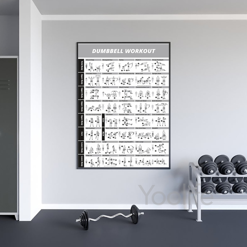 Poster Bagan Latihan Olahraga, - Sports Equipment Poster ulasan dan harga